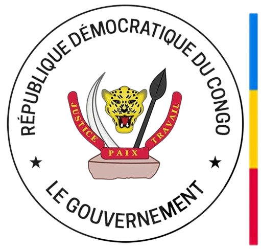 Logo Afridex